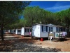 camping-4.jpg